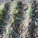 동면농장 이미지