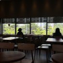 도청대로 티스토리