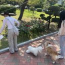 영진환경 이미지