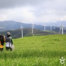 하늘목장 이미지