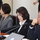 디.씨마트 이미지