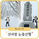 백두대간 선자령 등산코스 겨울 눈꽃산행 후기ㅣ국내 패키지 여행 승우여행사와 함께