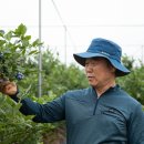 이선호농장 이미지