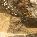 용황초등학교 이미지