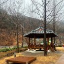 진밭골야영장 이미지