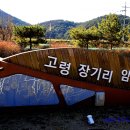 영남부분정비 | 전통건축-10368. 고령 장기리 암각화 - 청동기시대 인류가 남긴 상징 언어 (2025.12.06.)