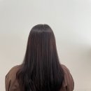 비커밍헤어 이미지