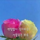 오늘더예쁜눈