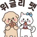 광주 반려동물용품 위글리펫 용봉점 네이버블로그