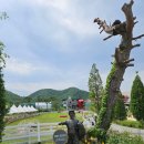 소연목장 이미지