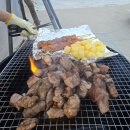 월등도캠핑장 | [경남 사천 숙소] 감성터지는 비토노을숲 글램핑 내돈내산 후기