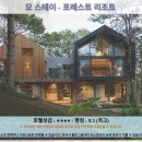 달랏 여행 추천 호텔 후기: 모 스테이 - 포레스트 리조트