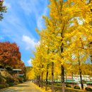 대가야고등학교 이미지