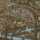 슬아슈퍼 이미지