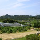 하얀민들레마을 이미지