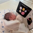 세탁도우미 | [임신기록#13]대전 도담도담산후도우미 후기_이모님 추천