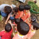 밝음어린이집 이미지