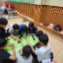 새뜸초등학교 이미지