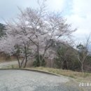 약초사랑동의보감 - 중랑구 겸재로50길 33 | 약초사랑동의보감