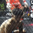 레슬링 넘버 원 이미지