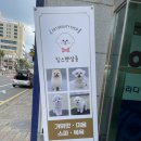 킴스펫살롱 이미지