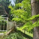 국궁활쏘기 가족사랑체험캠프 이미지