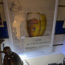 협재해수욕장의 유일한 노래방, 협재노래타운 내돈내산 후기
