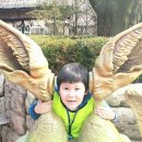 연세 태권도장 이미지