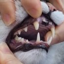 서재동물병원 이미지