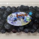 은파농장 이미지