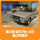 [블로그 기자] 울산을 알아가는 시간 울산박물관