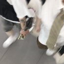 해와별여행 이미지