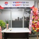 정경시사 Focus