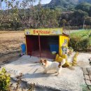 방동 | 강원도 메밀향 살아있는 숲속의 빈터 방동막국수 내돈내산 후기