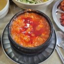 도일목장 | [2024/07] 뚜벅이 제주여행일지 5일차 : 또간집 신해바라기분식 아베베 제라헌 제주시새우리 휴즐리...