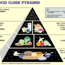 여에스더의 영양이야기.1,2,3,4,5,6,7-기름으로 치료한다.추가/조선일보 이미지