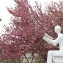 발한공원 이미지