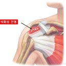 충무새힘한의원 이미지