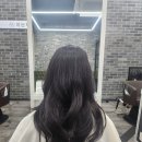 아논헤어