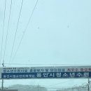 용인 청소년 수련원 야영장에서 설중 캠핑, 용인 시민은 할인!