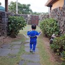 지꺼지게 귀덕 이미지