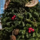 엔젤파크 이미지