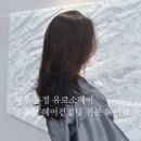252-운정3-252 | 파주 운정 스타필드빌리지 맞춤 레이어드컷 헤어샵 추천 - 유로소헤어 (내돈내산)