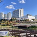 카앤피플경기성남수정구