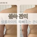 퓨어벨에스테틱
