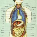 인신매매 (펌글) 이미지