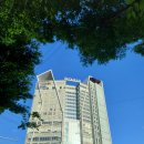 에코그라드 관광호텔 이미지