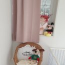 동글하개 이미지