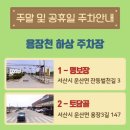 명보장 | [당진] 유기방가옥 수선화 개화 사진 방문 후기 및 꿀팁(4/6)