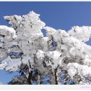 2. 15 ~ 16일 (토,일) 제주 한라산 눈꽃산행과 가파도 봄맞이 힐링여행 안내... 이미지